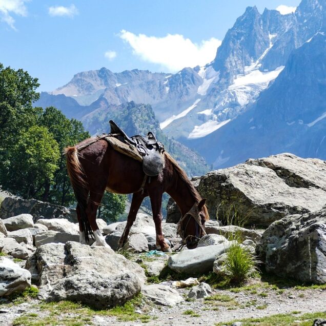 Kashmir